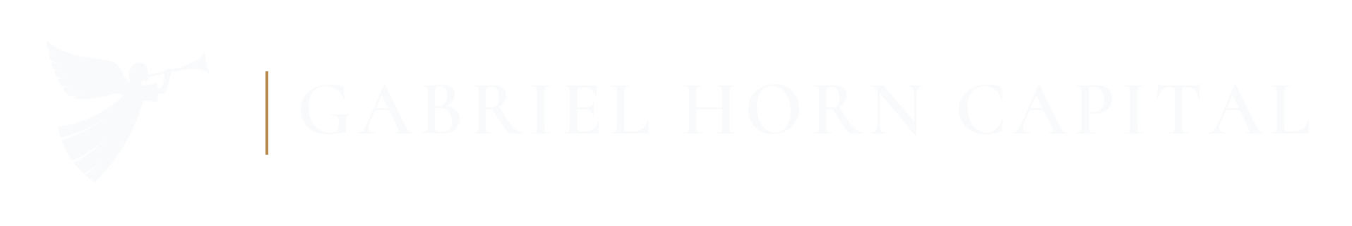 Gabriel Horn Capital